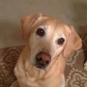 Meet your Posher, Terri